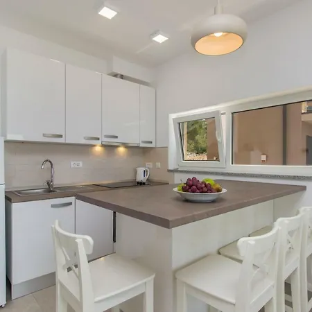 Ilenia Apartment Murter